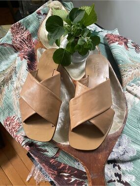 Everlane Day Crossover Sandal in Taupe